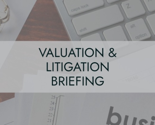 Valuation and Litigation Briefing Image